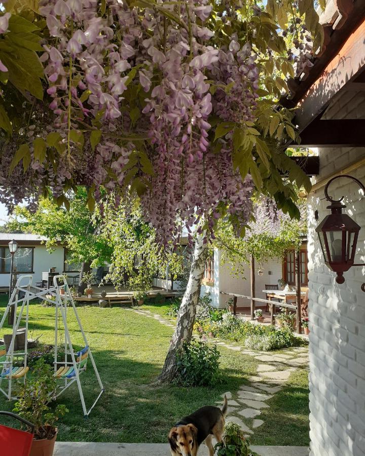 Shai Shai Hue Puerto Madryn Exteriör bild